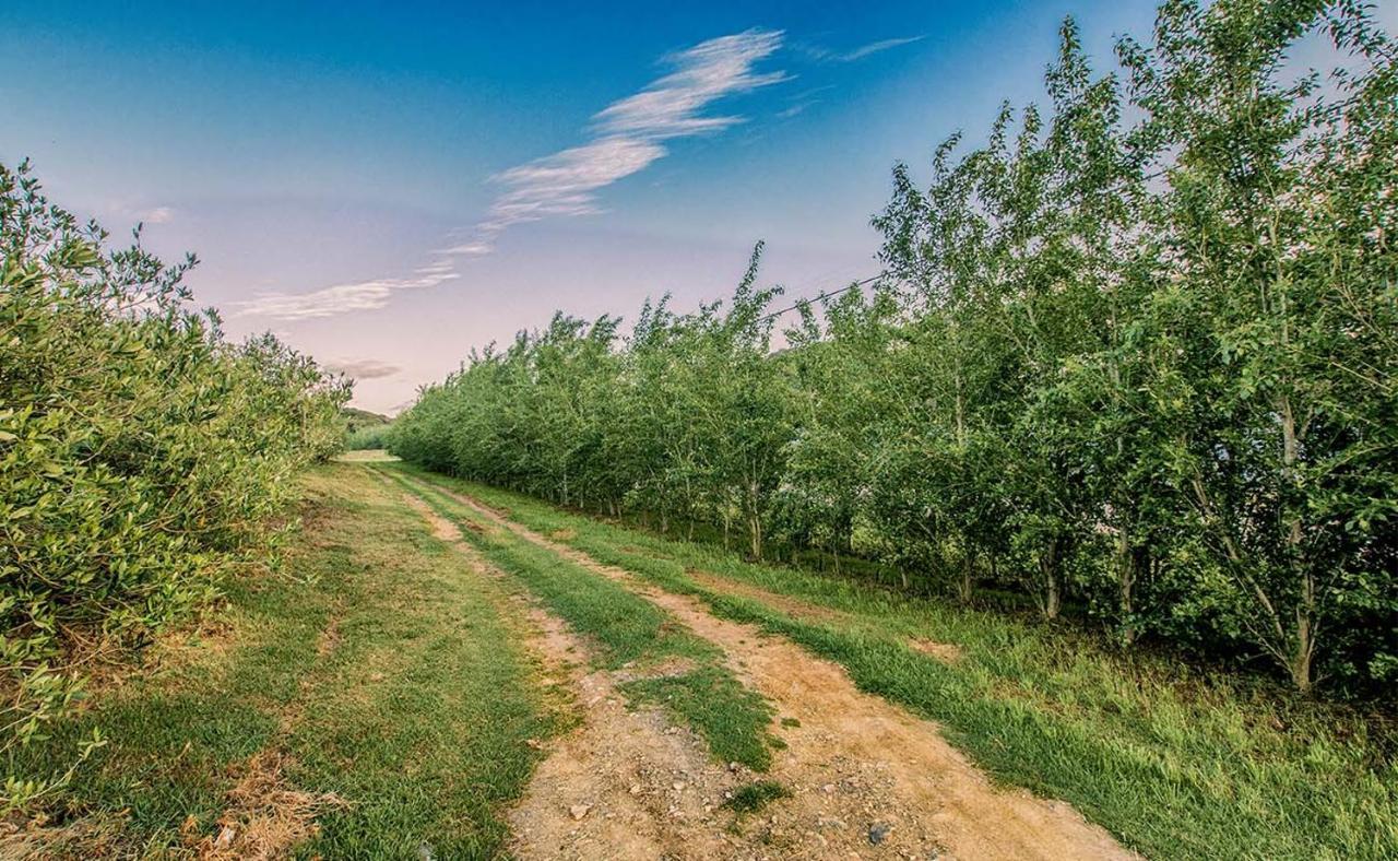 Oudewerfskloof Olive Farm Stilbaai Exterior foto
